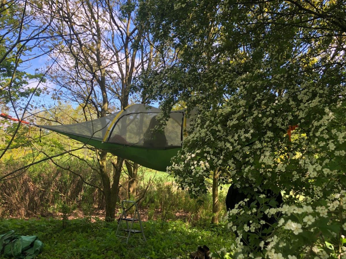 Naturecamp קושהאבן מראה חיצוני תמונה