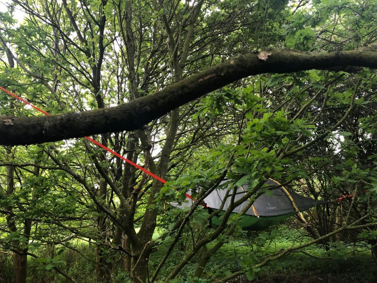 Naturecamp קושהאבן מראה חיצוני תמונה